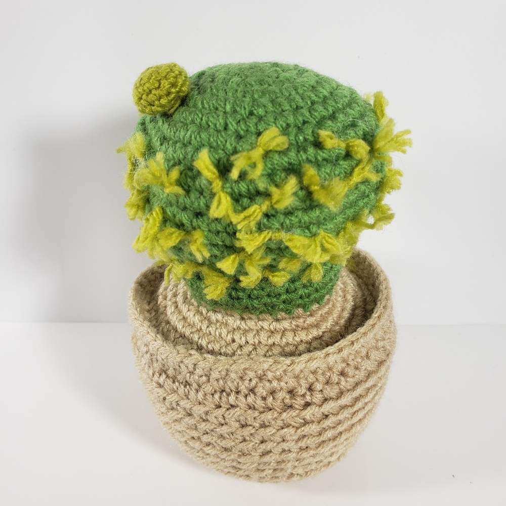 Crochet potted Cactus/Succulent